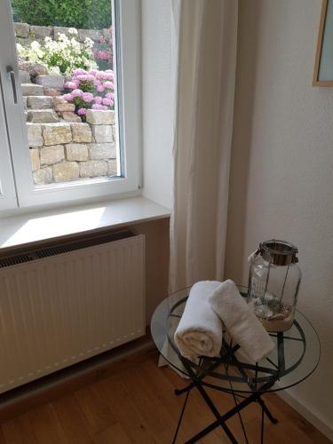 a glass table with a towel on it next to a window at Business Apartment Ravensburg - sonnig, zentral & ruhig in Ravensburg