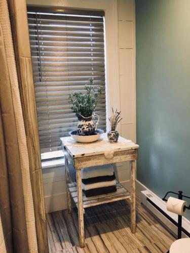 a table with two potted plants on it next to a window at Wind in the Willows Overnight in Jefferson