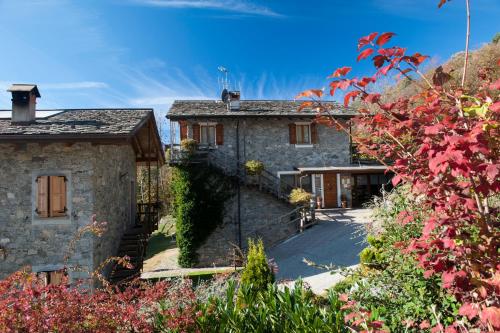 Gallery image of Agriturismo La Pedruscia in Civo