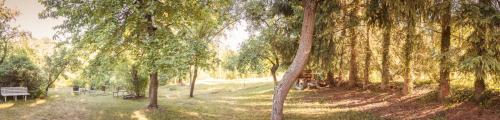 a park with trees and a bench in the grass at Lahnhaus Brühl/ Fende Haus in Arfurt