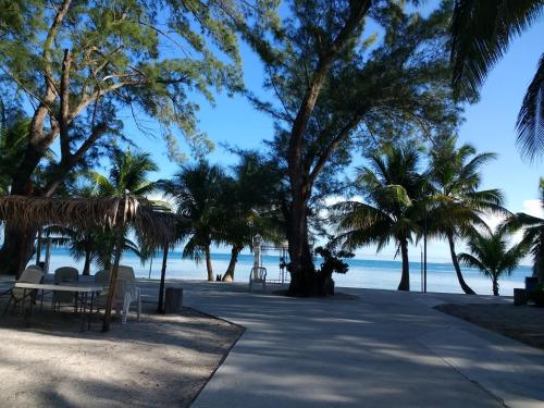 a table and chairs on a beach with palm trees at Freedom Shores "La Gringa" Hotel - Universally Designed in Isla Aguada