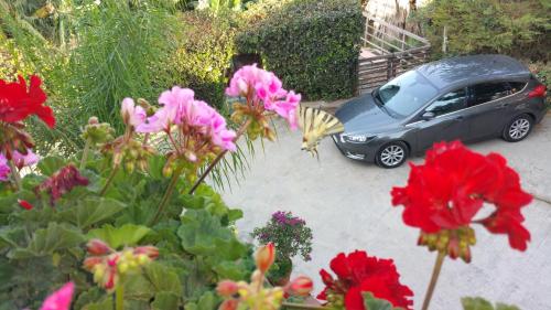 Zahrada ubytování villa xenia