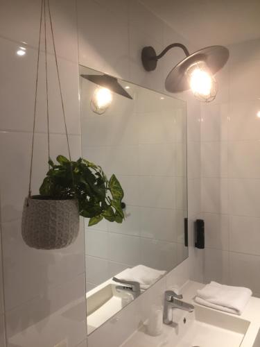 baño con lavabo, espejo y maceta en GuestHouse Hotel Kaatsheuvel-Waalwijk, en Kaatsheuvel