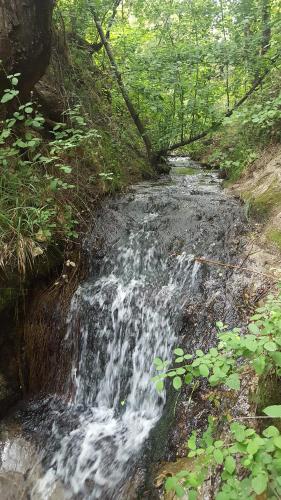 a stream of water flowing down a hill in a forest at El Rincon Eco Hotel in Los Ángeles