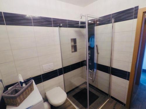 uma casa de banho com um WC e uma cabina de duche em vidro. em Apartments Stakic em Krvavica