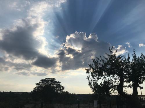 a cloudy sky with a tree in the foreground at EnjoyTrulli - Countryside in Noci