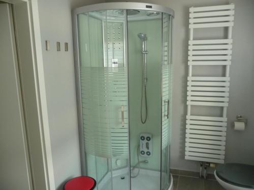 ブランケンブルクにあるHarzurlaubのバスルーム(ガラス張りのシャワー、トイレ付)