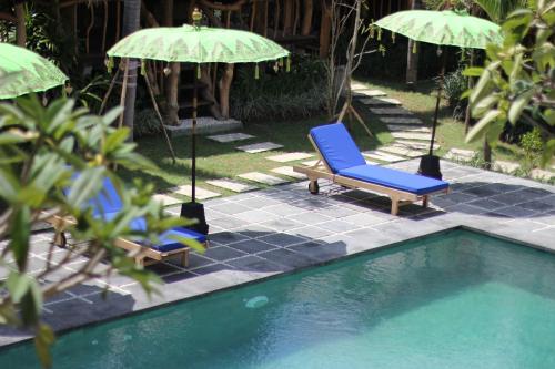 two blue chairs and umbrellas next to a pool at The Calmtree Bungalows in Canggu