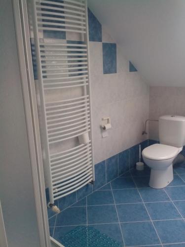 a bathroom with a toilet and a shower at U nových přátel in Lichkov