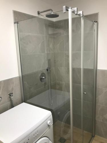 a shower with a glass door next to a toilet at Trentino Apartments - Casa ai Tolleri in Folgaria