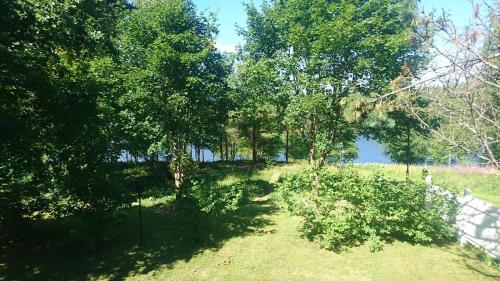 a field with trees and grass and a fence at Talvitaival Apartments in Varkaus