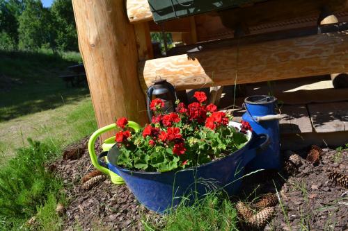 a blue bucket filled with red flowers next to a bench at Leśniówka Domki W Karpaczu in Karpacz
