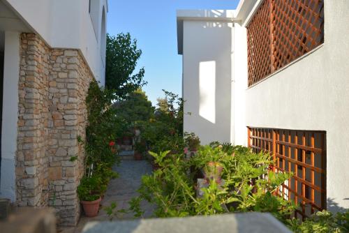 Un jardín fuera de Pension Andromeda