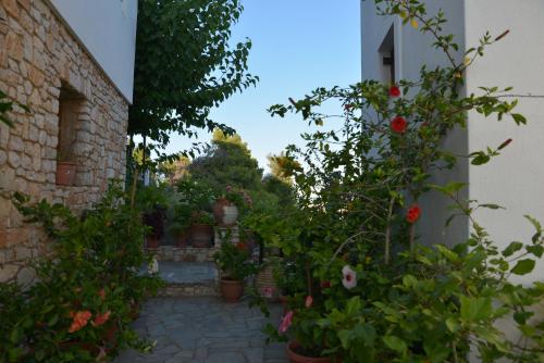 Un jardín fuera de Pension Andromeda