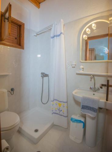 Un baño de Pension Andromeda