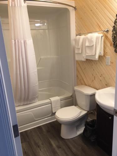a bathroom with a toilet and a shower and a sink at The Southern Port Hotel & Chalets in Harbour Breton