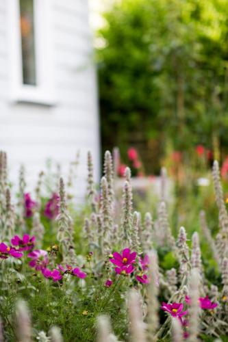 Coghill Cottage – Photos 3