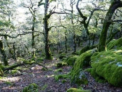 Un paisaje natural cerca de la casa de huéspedes