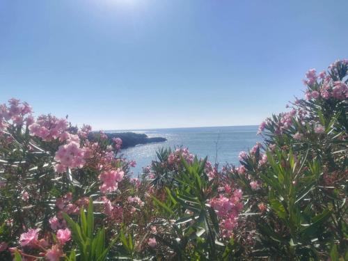 Paesaggio naturale nelle vicinanze dell'agriturismo