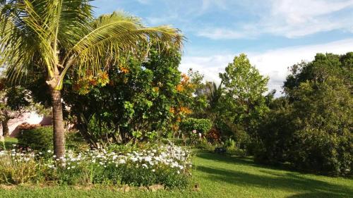 Taman di luar Pousada Sitio da Serra
