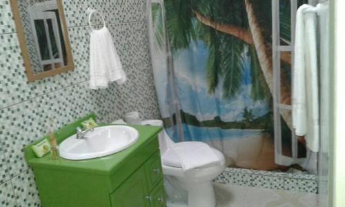 a bathroom with a green sink and a toilet at Cabinas Hukats Secret Jungle in Puerto Viejo