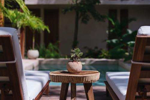 uma pequena planta sentada numa mesa ao lado de uma piscina em Colonte Hotel Origen em Valladolid