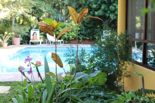 Kolam renang di atau dekat dengan Casa Kin33