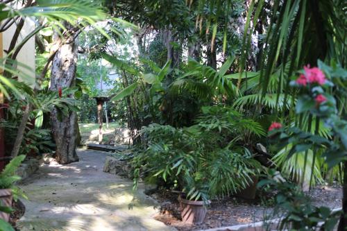 Taman di luar Casa Kin33