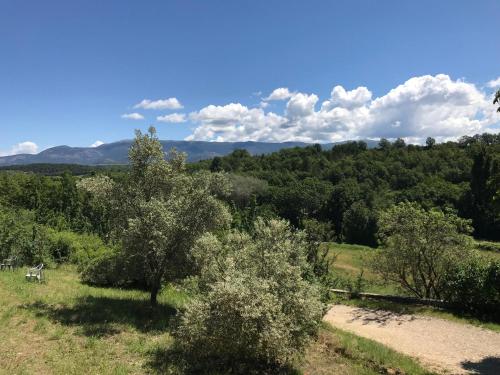 Φυσικό τοπίο κοντά σε αυτό το διαμέρισμα
