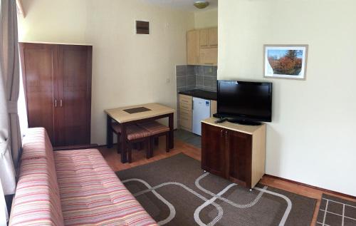 a living room with a couch and a small kitchen at Apartments&Camping ZIP in Kremna