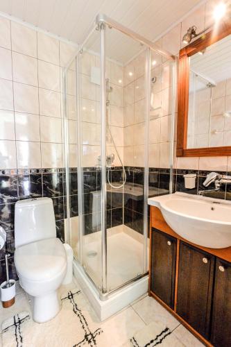 a bathroom with a shower and a toilet and a sink at Vaizdas į marias in Nida