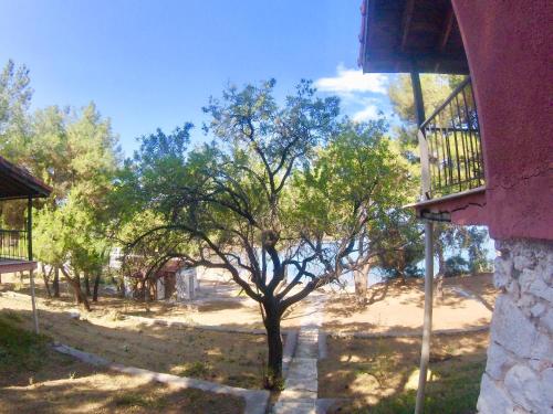 a tree on a sidewalk next to a building at Rainbow Bay Ozdere Beach Hotel in Özdere