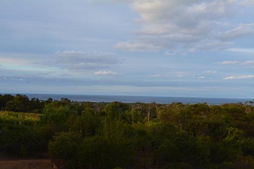 a view of the ocean from a field of trees at Surinam in Dunsborough