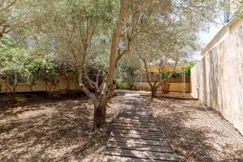 a tree in the middle of a walkway at Smadar Inn in Zikhron Ya‘aqov