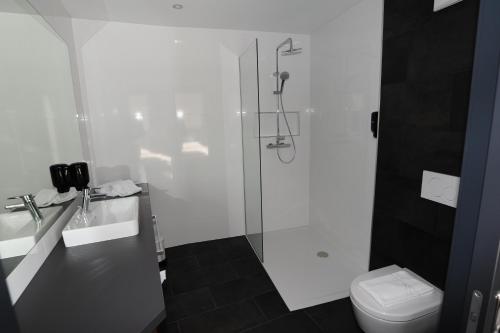 a bathroom with a shower and a toilet at Hotel Donauhof Mauthausen in Mauthausen