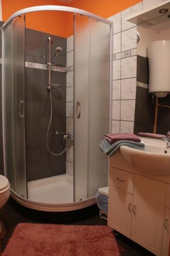 ein Badezimmer mit Dusche, Toilette und Waschbecken in der Unterkunft Stonehouse in Nova Gorica