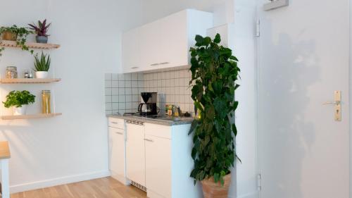 Η κουζίνα ή μικρή κουζίνα στο Apartments an der Universität