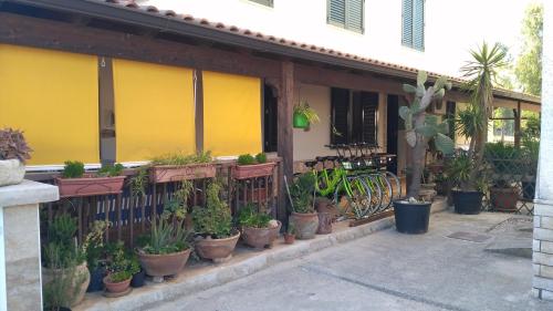 Taman di luar Gecko's House