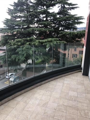 a view of a tree from a balcony at Roggia Apartments by Quokka 360 - central flats with parking space in Lugano