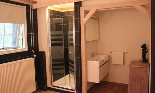 een badkamer met een douche en een wastafel bij Mare Sanat in Wijk aan Zee