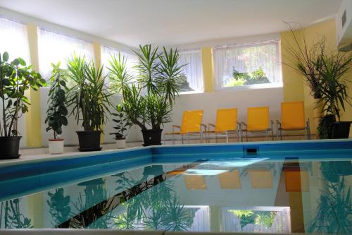 a swimming pool with chairs and plants in a room at Hotel Lamm in Naturno