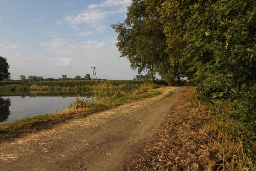 a dirt road next to a body of water at Studniska Country Estate in Studniska