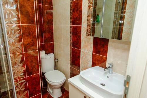 a bathroom with a toilet and a sink at Apartmani Mozaici in Risan