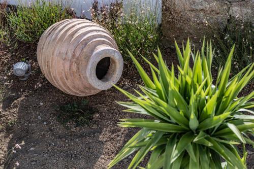 a barrel sitting on the ground next to a plant at Melangel in Mýkonos City