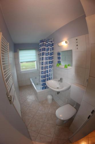 a bathroom with a sink and a toilet and a mirror at Haus Marinus in Puttgarden