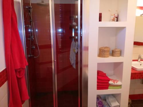 a shower in a bathroom with red tiles at villa peppino in Montallegro