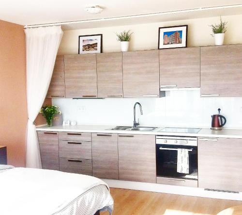 una cocina con armarios de madera y fregadero en Brunetti Suite Zlín, en Zlín