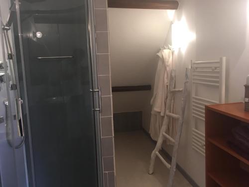 une douche avec une porte vitrée dans une salle de bain dans l'établissement L'annexe, à Saint-Étienne-la-Thillaye