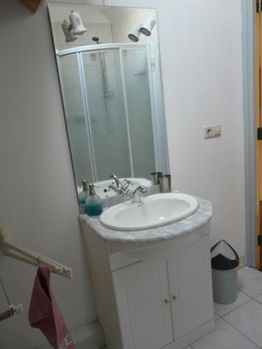 a bathroom with a sink with a shower and a mirror at de Boomgaard Groene Hart in Polsbroekerdam