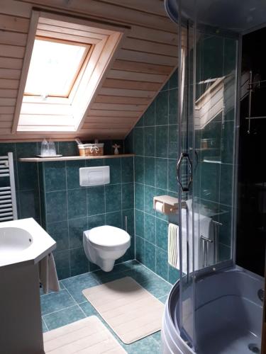 uma casa de banho com um WC, um lavatório e um chuveiro em Pension Terra Nova em Brezoi